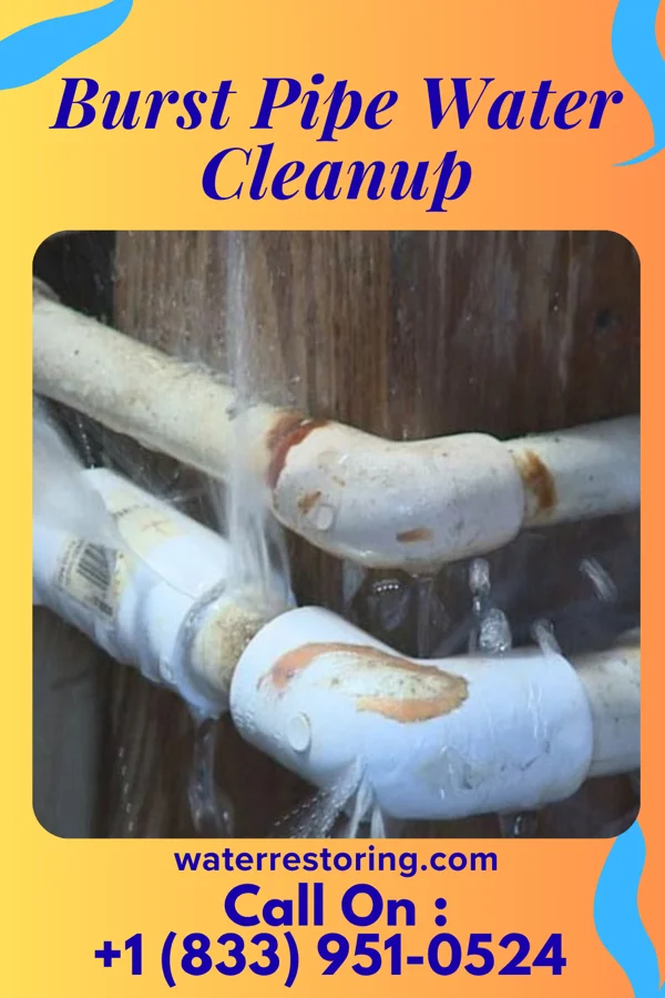 Burst Pipe Water Cleanup in Union Level, VA