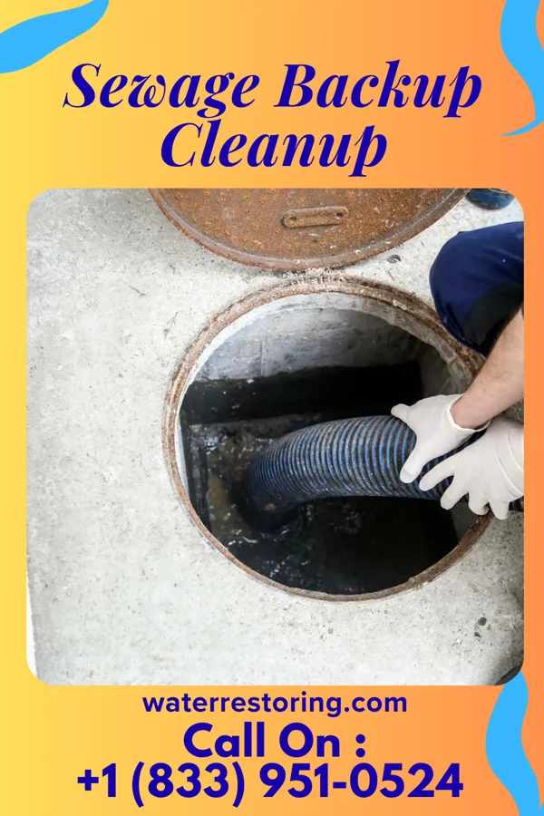 Sewage Backup Cleanup in Union Level, VA